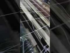 Bitki tırmanış ağı